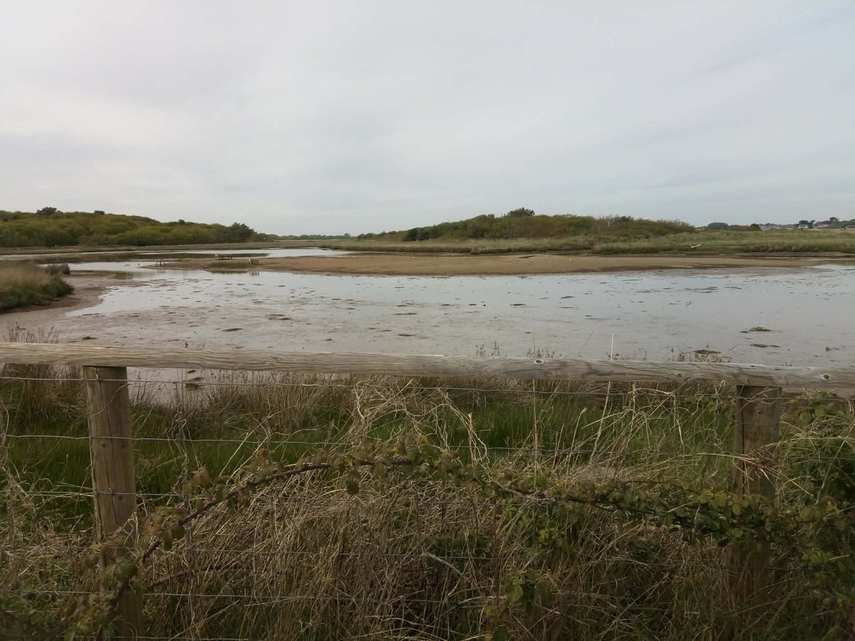 RedbridgePlus's tweet image. Photos from #springbreak in #Christchurch. #RedbridgePlus #Socialgroup #Redbridge #Ilford #Woodford #SevenKings