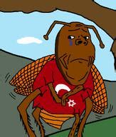 Illusive Friend tweet media