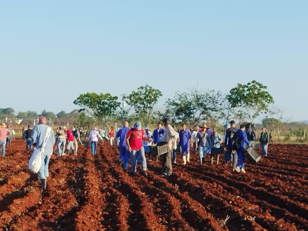 Erlin Rondón tweet media