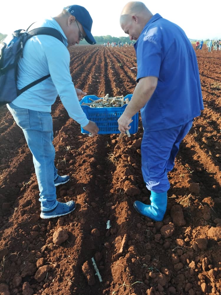 Erlin Rondón tweet media