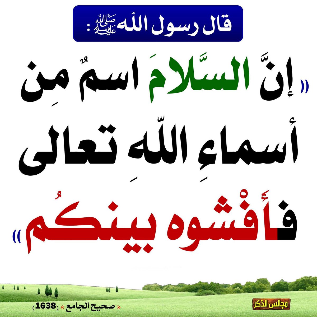 ✨عبد الكريم رحالي 2 tweet media