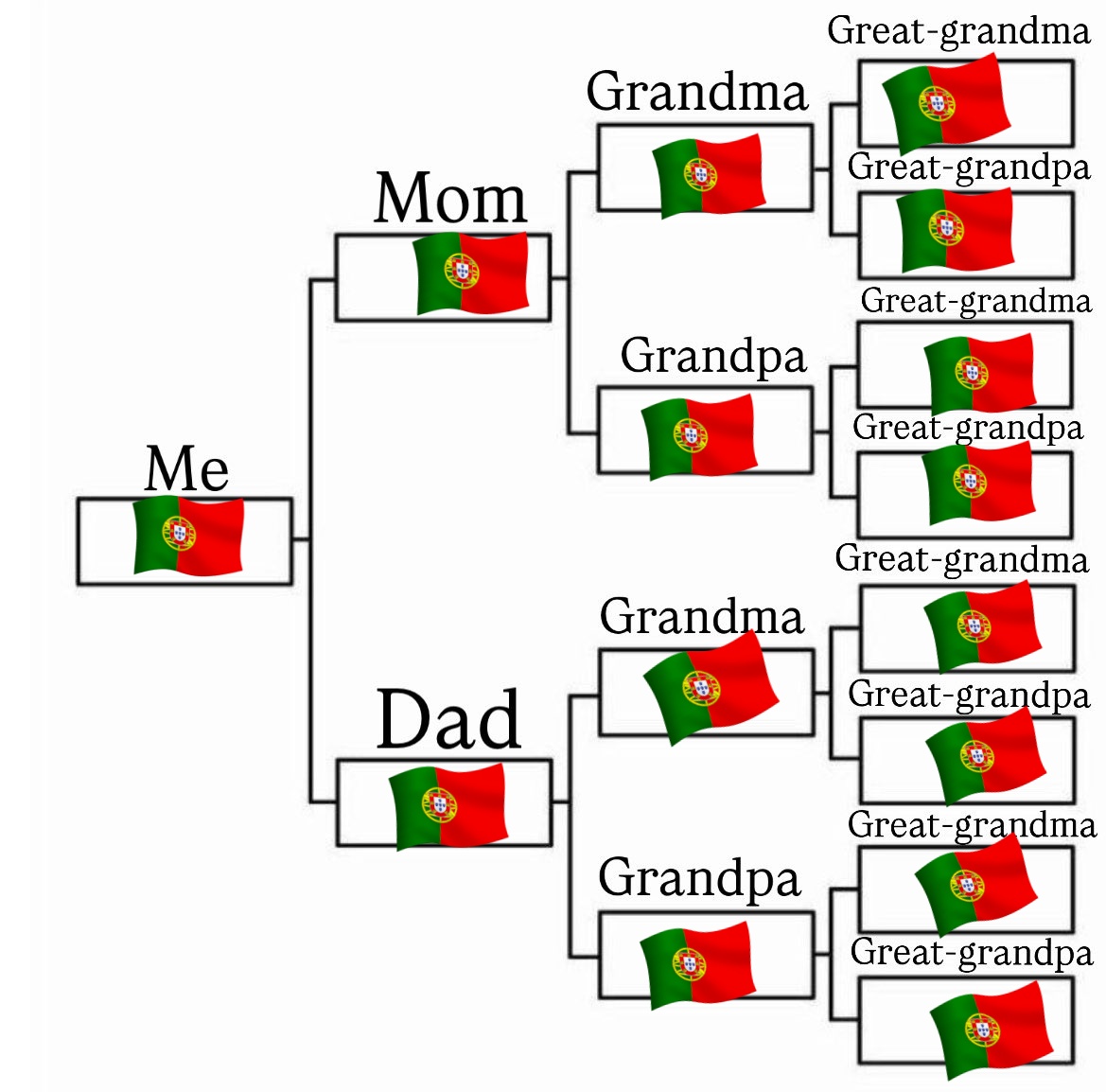 Nicolau Teixeira | ∞/21M tweet media