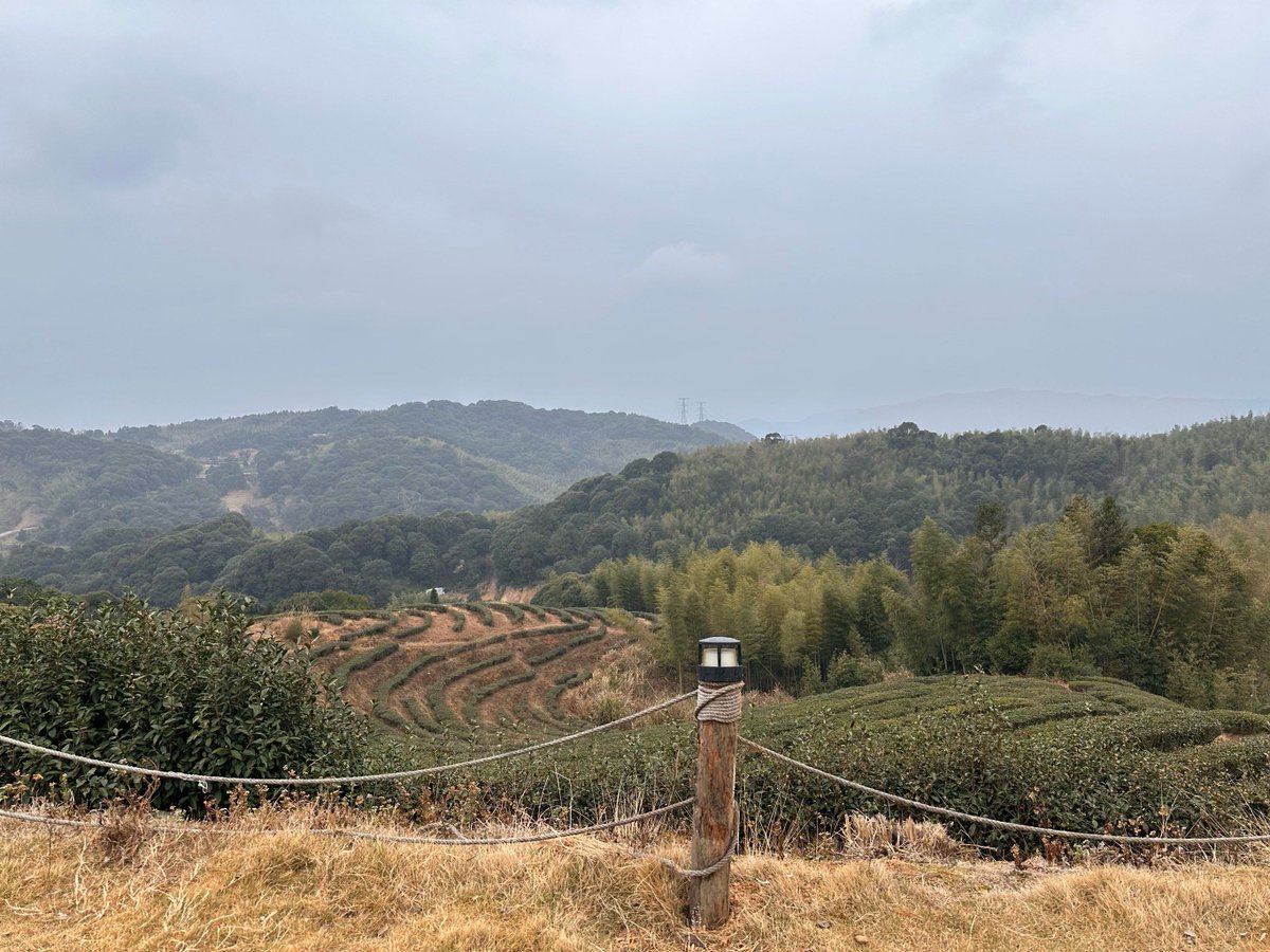 ktl3470's tweet image. Chasing sunsets u0026 s'mores by the fire  Nothing beats waking up to birdsong + pine-scented air. Who’s joining the next adventure #CampingVibes #NatureLovers