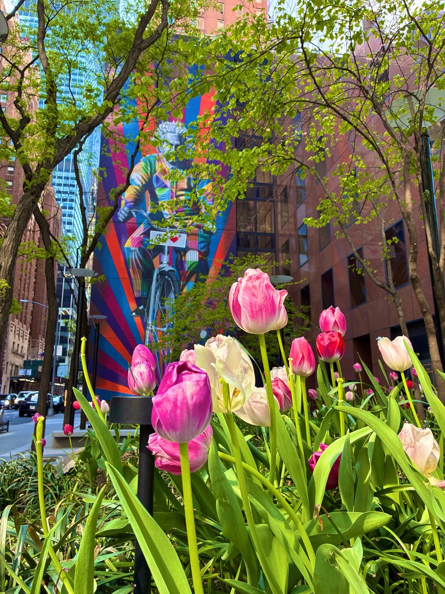 Spring in NYC https://t.co/y5AYqL9PDt