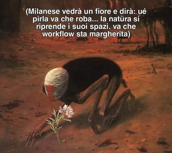 appena letto tweet in cui user diceva "e poi dicono che al nord non abbiamo posti belli" con 3 foto su 4 di piante fiori e alberi, non fatemi tirare fuori il memino gente...