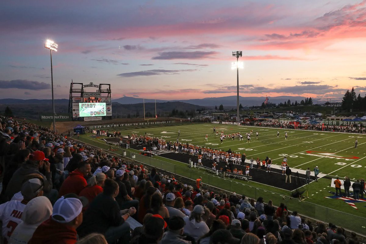 Montana Tech Football tweet media