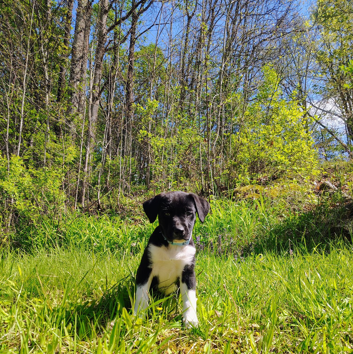 Whale Psychiatrist ™️ tweet media