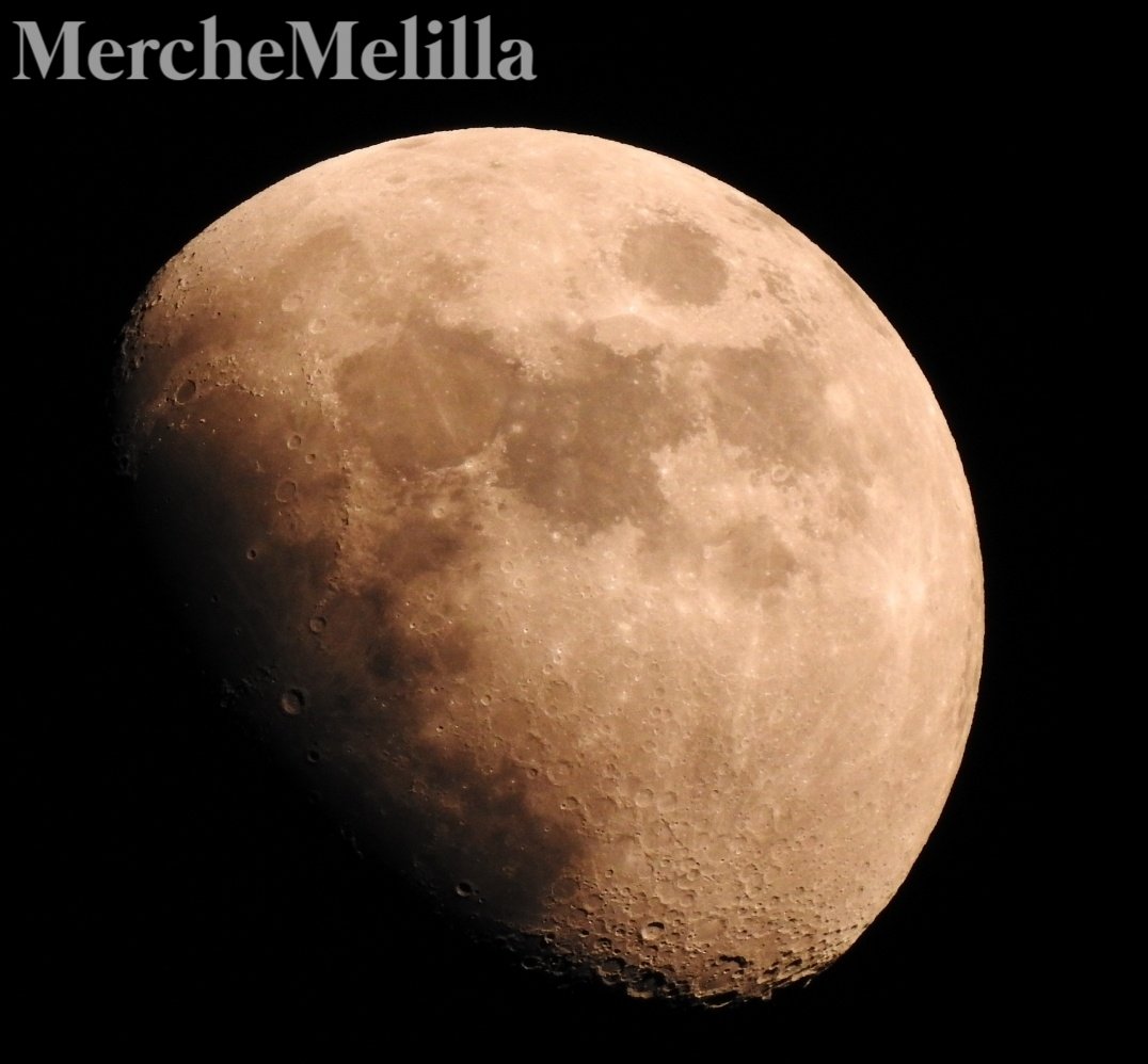 Merche Melilla tweet media