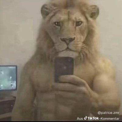 Trexer tweet media