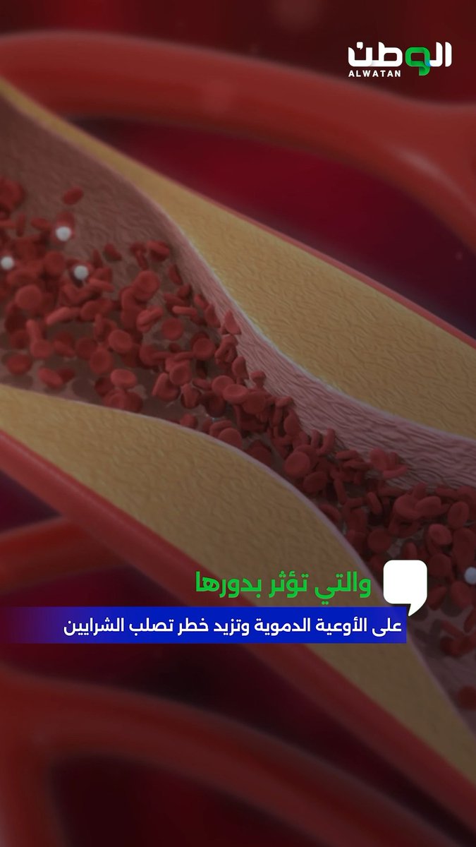 بينها السكر والأطعمة المصنعة ... 5 أطعمة قد تبدو لذيذة لكنها تسرق صحتك في صمت 