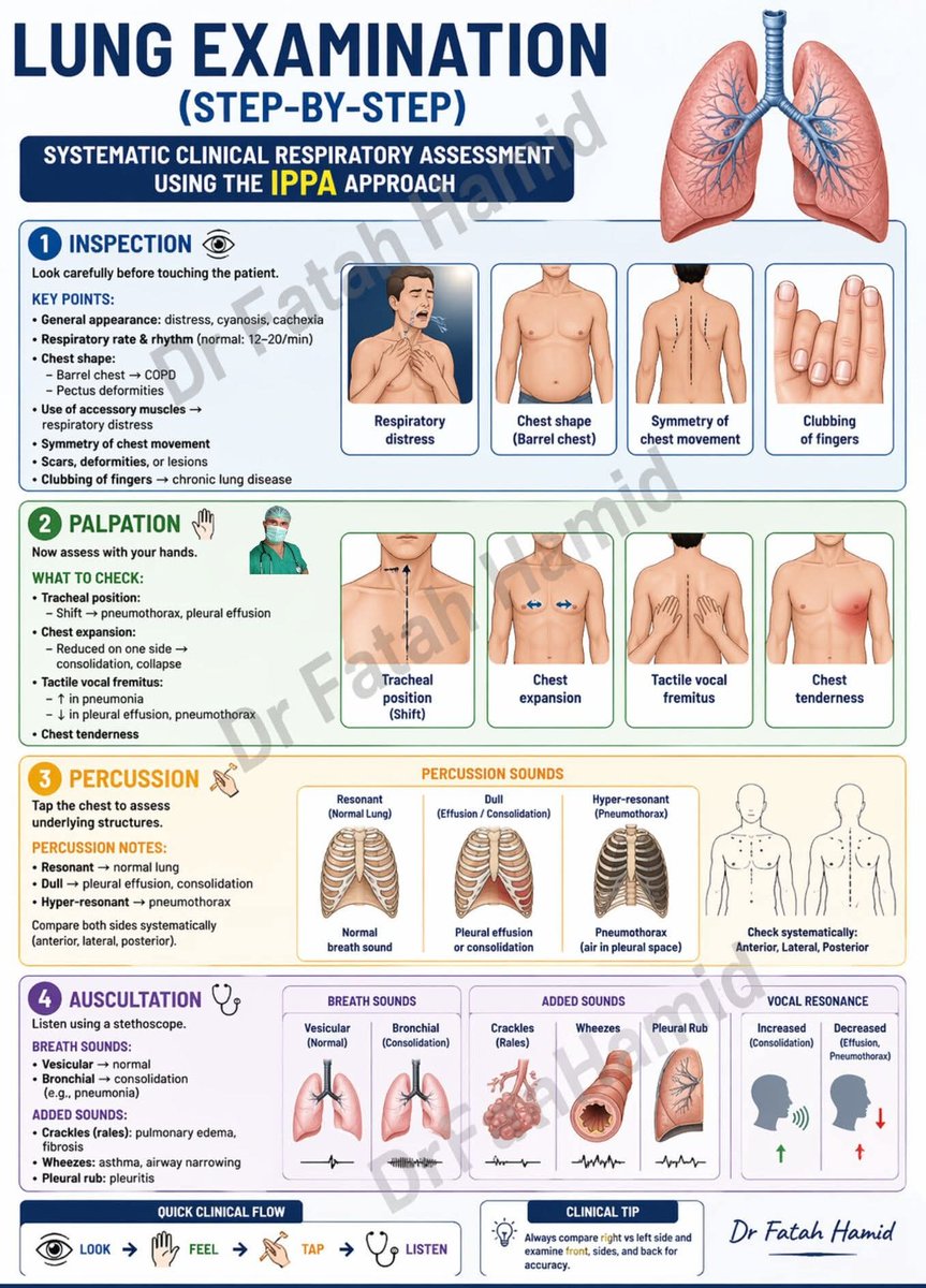 Chest(lung) examination