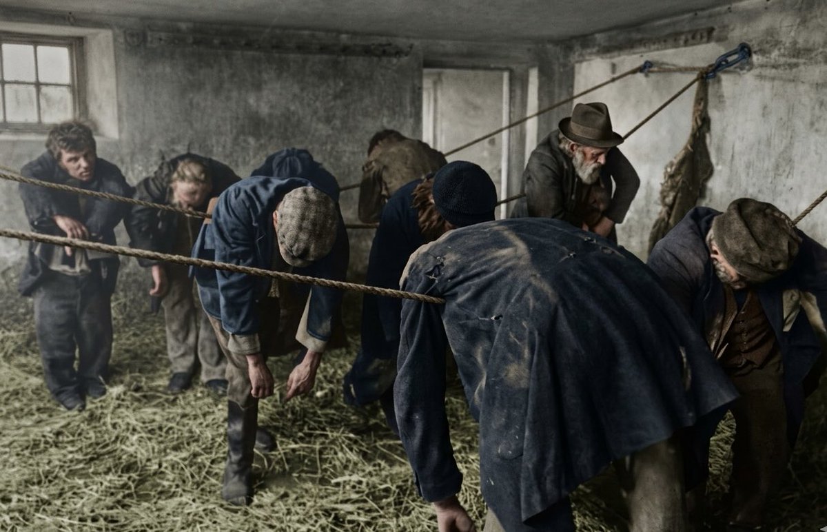 Mohamed Reda tweet media