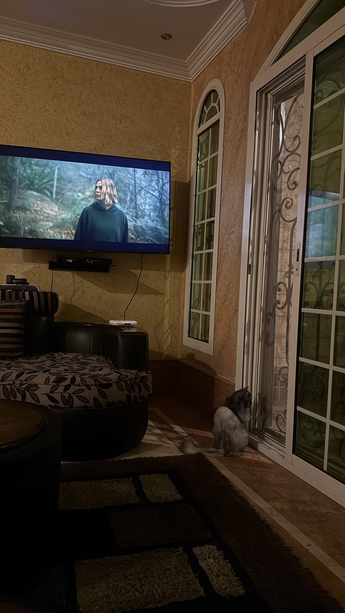 🐈‍⬛ tweet media