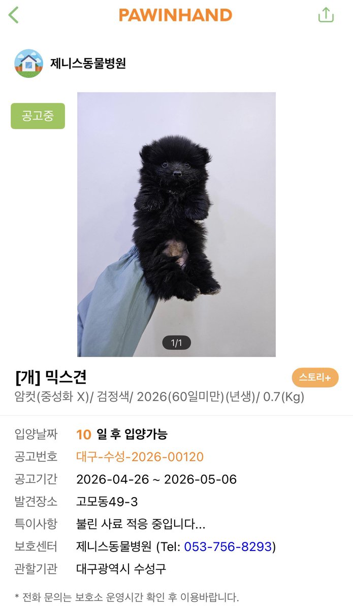 임보기록 tweet media