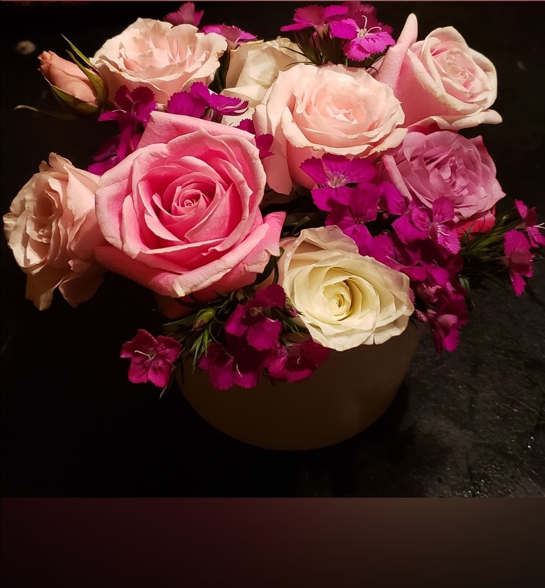 KellyEW59688061's tweet image. Made a little arrangement
#flowers