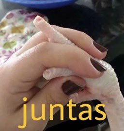 originataa's tweet photo. nessa energia https://t.co/t3qY8noe9v