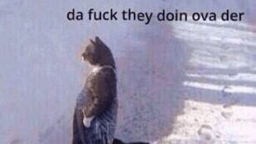 Daily Himeko (@dailyhimeko_m) on Twitter photo 