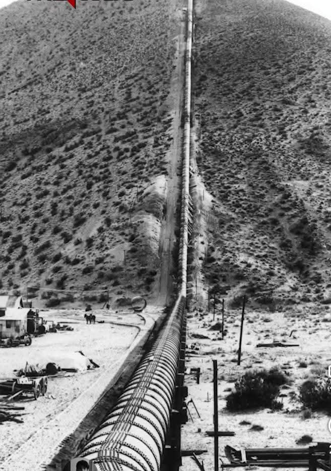 Ather Salem® tweet media