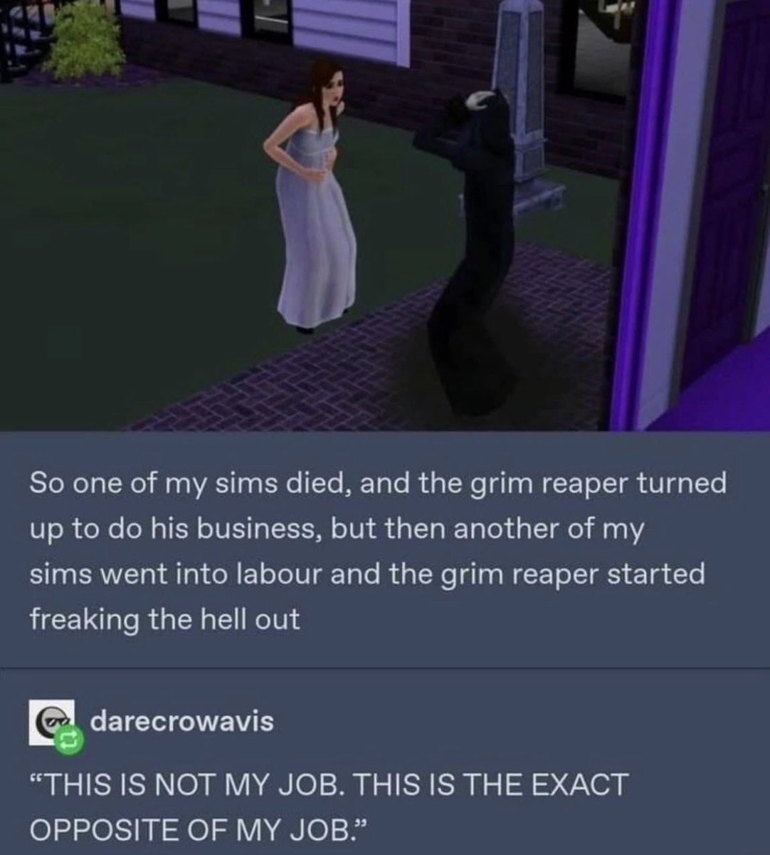 Respectful Memes (@respectfulmemes) on Twitter photo 