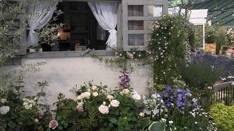 linar fiona tweet media