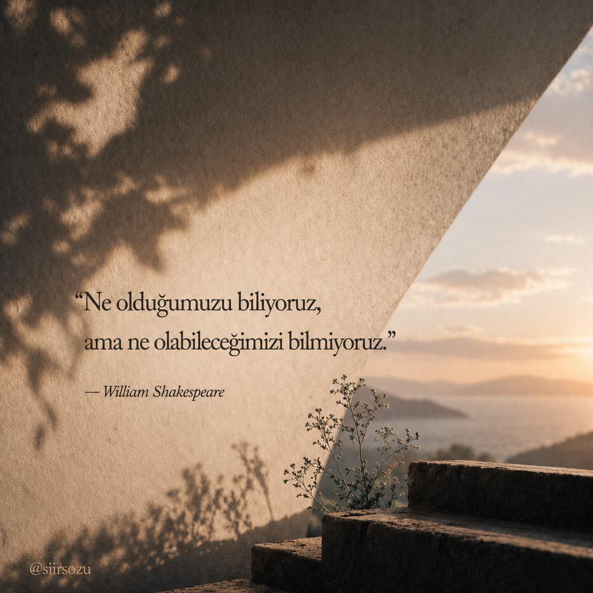 siirsozu's tweet photo. https://t.co/rnIImemwK2