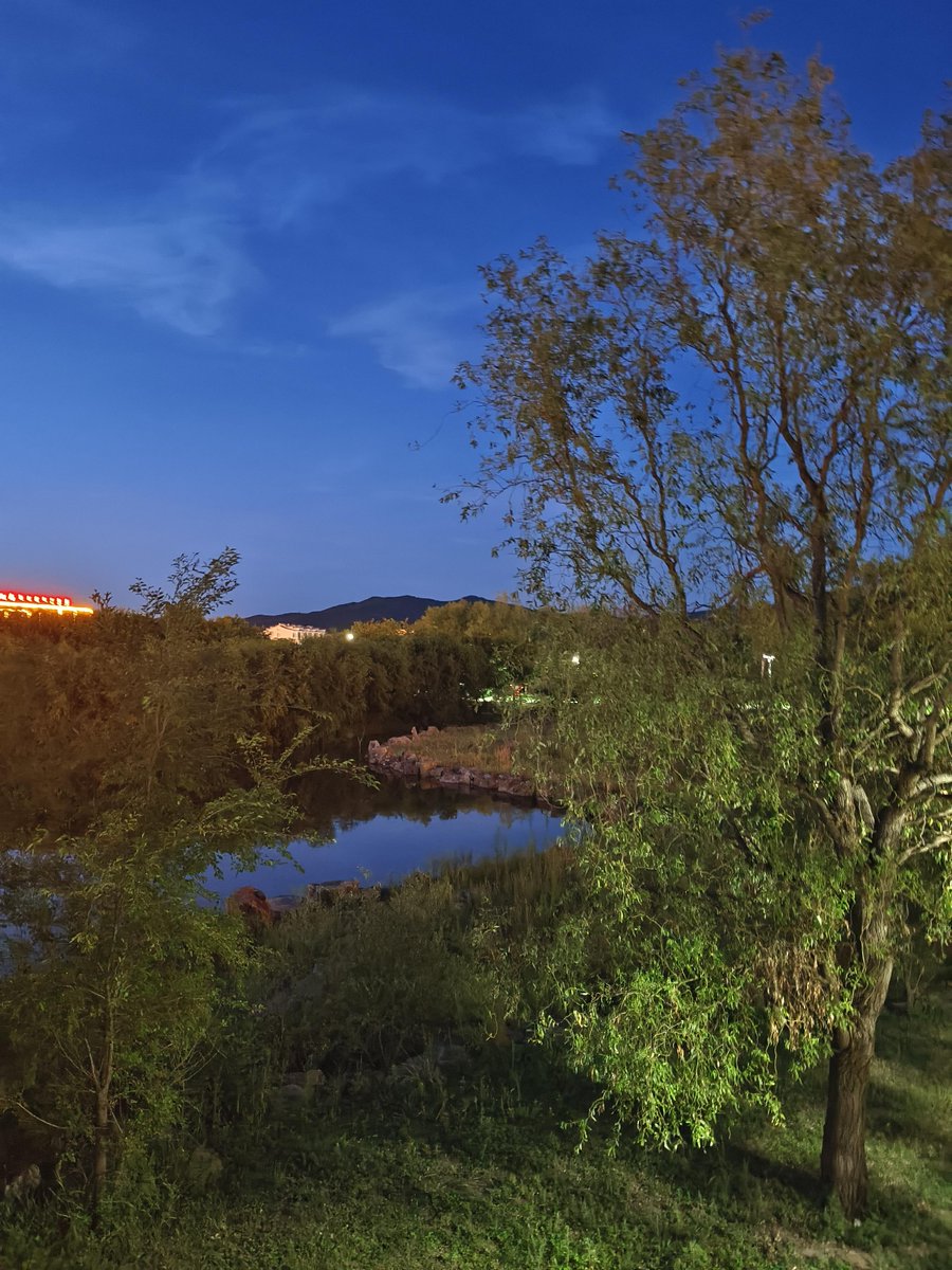 Edgardo Ballester tweet media