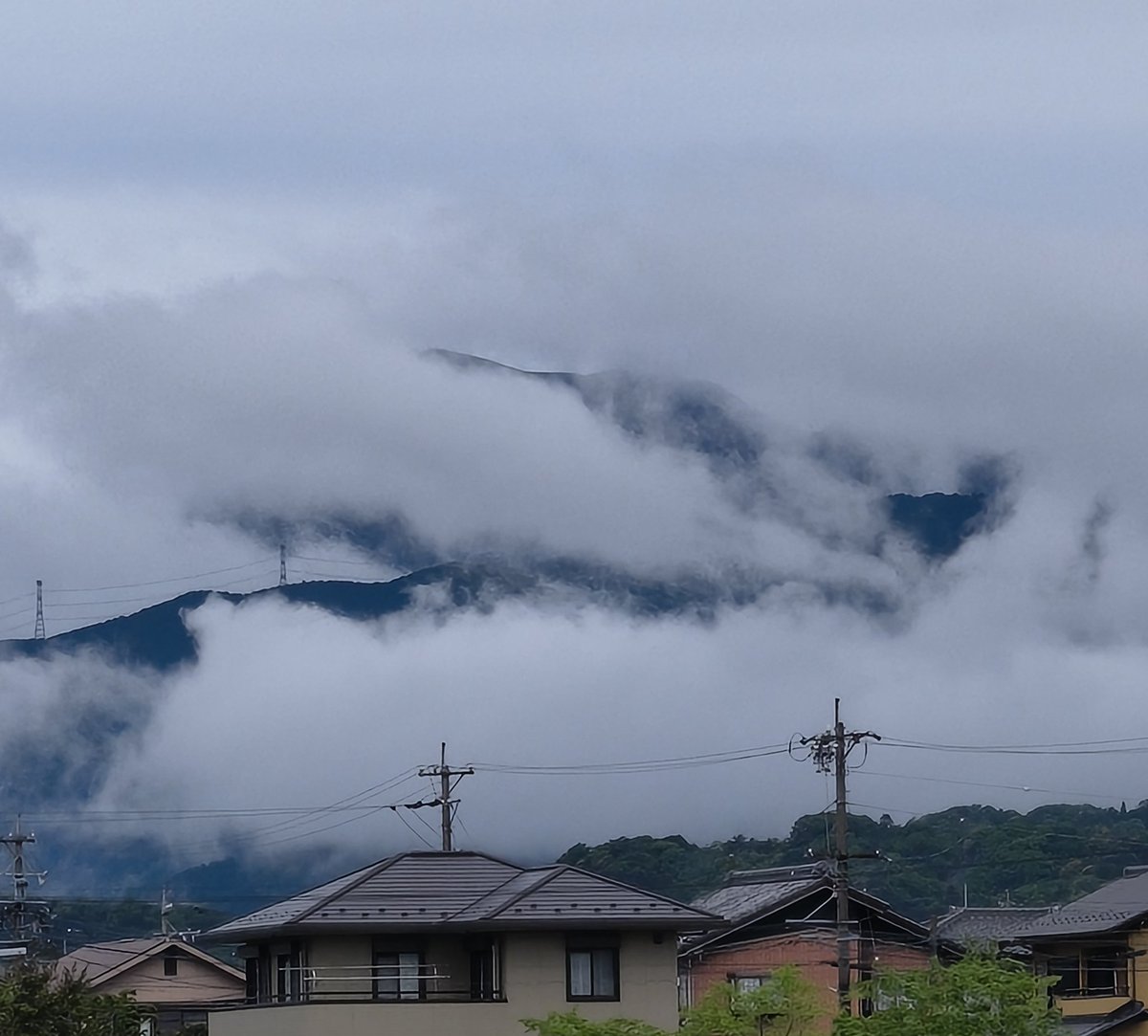 美濃のQ tweet media