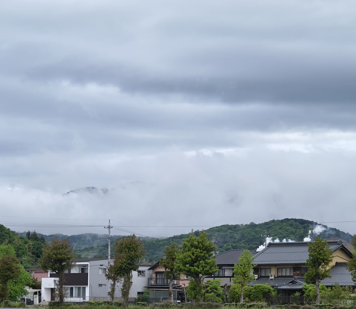 美濃のQ tweet media