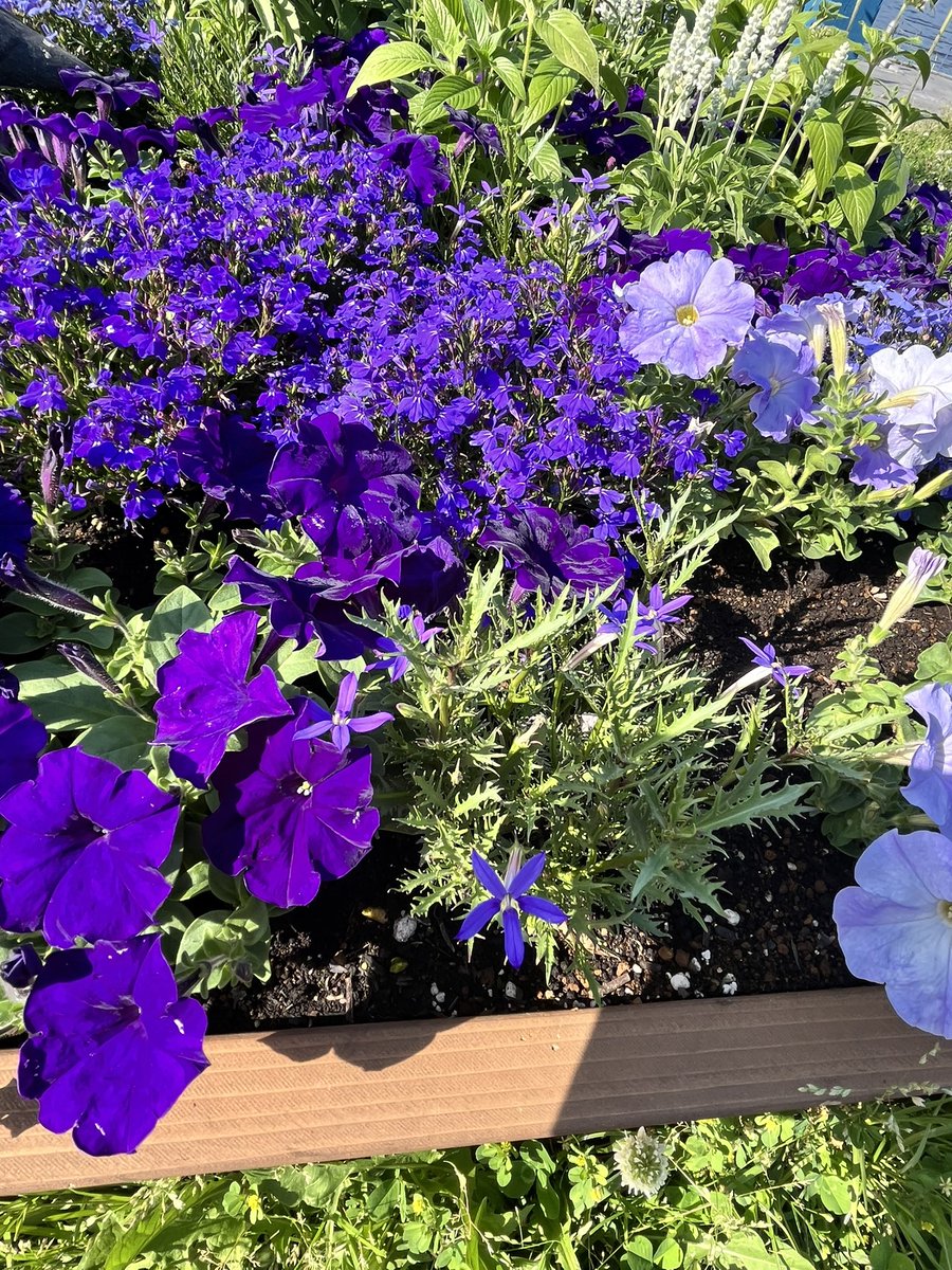 ちゃあちゃん🍩 tweet media