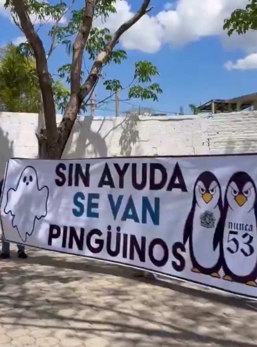 Edgar Galindo tweet media