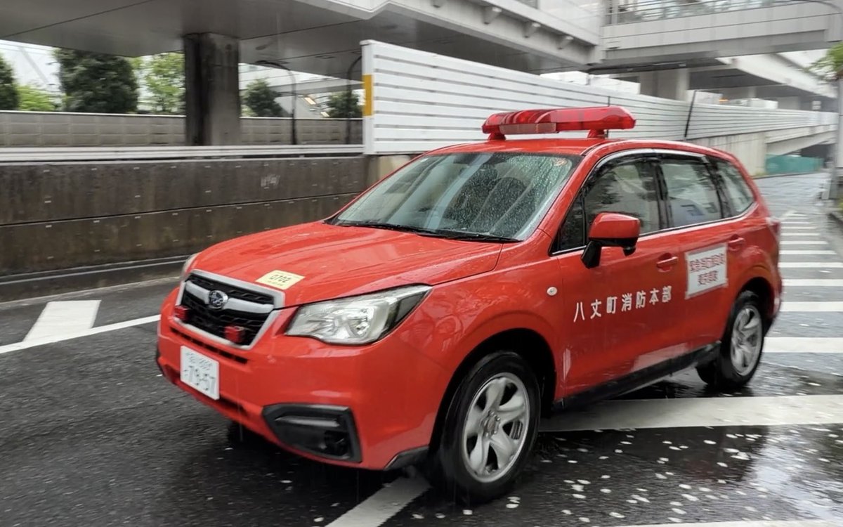 ロベレニくん（八丈島公式） tweet media