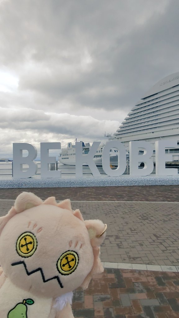 あぽろ ぴょん🐰 tweet media