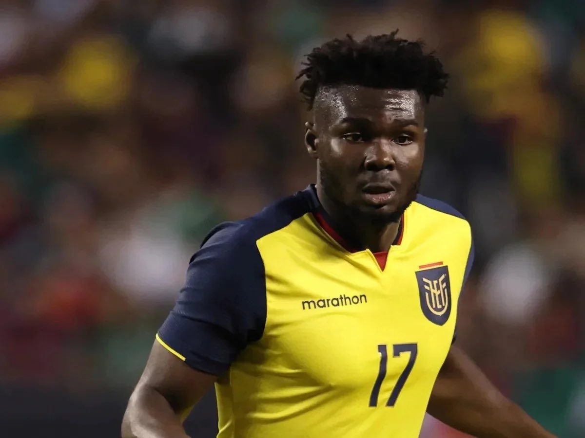 Pankeik 🦜 tweet media