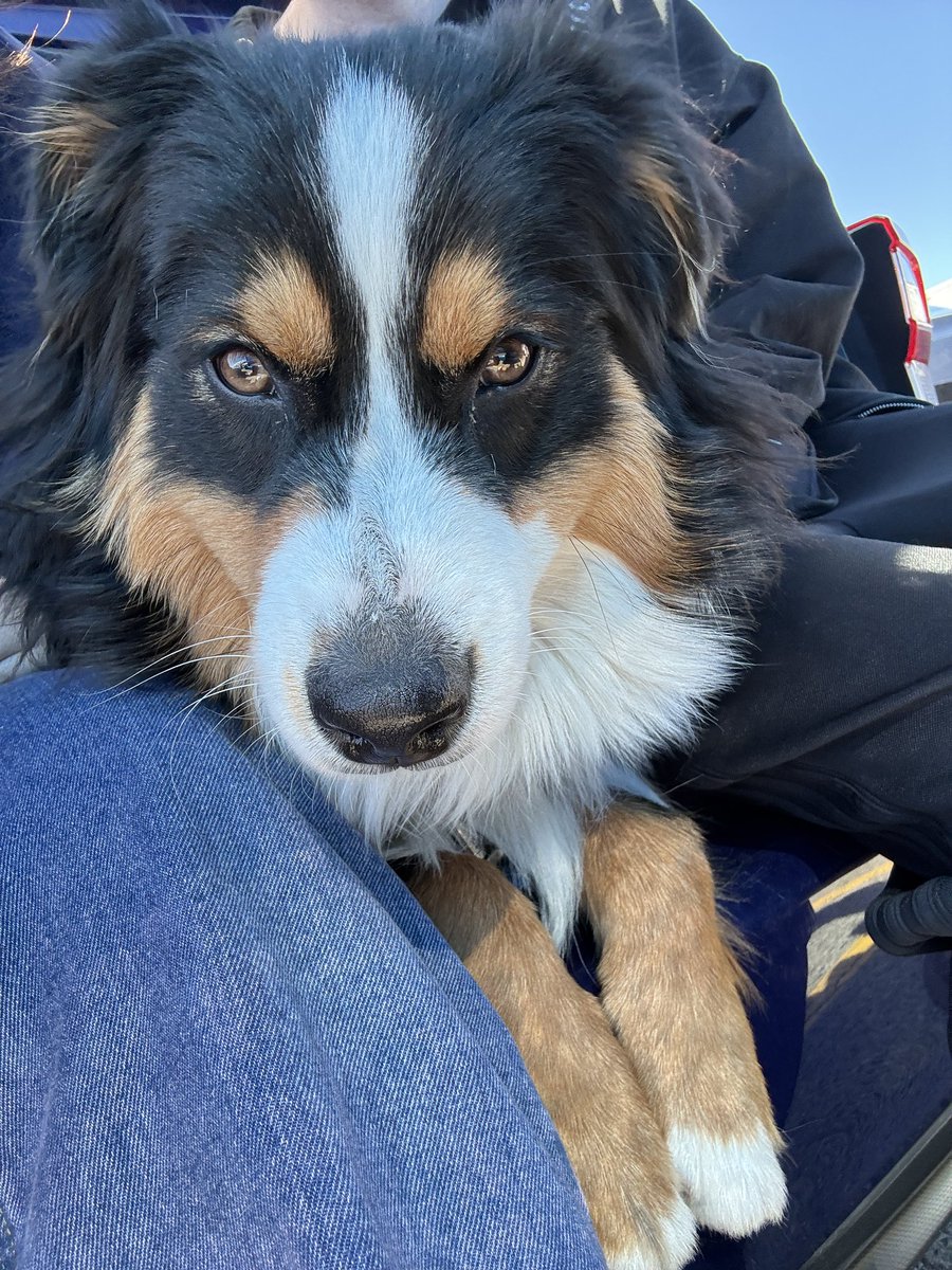 めいのケロウナライフ🇨🇦 tweet media