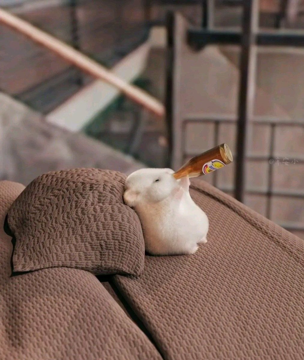 𝗟𝗨𝗞𝗘 𝗖𝗔𝗥𝗧𝗘𝗥 - 𝗔𝗡𝗗𝗥𝗔𝗗𝗘 tweet media