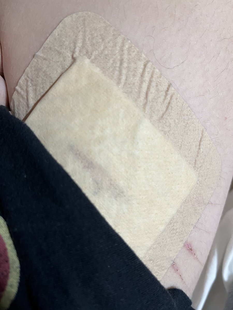 koda🔪 // shtwt tweet media