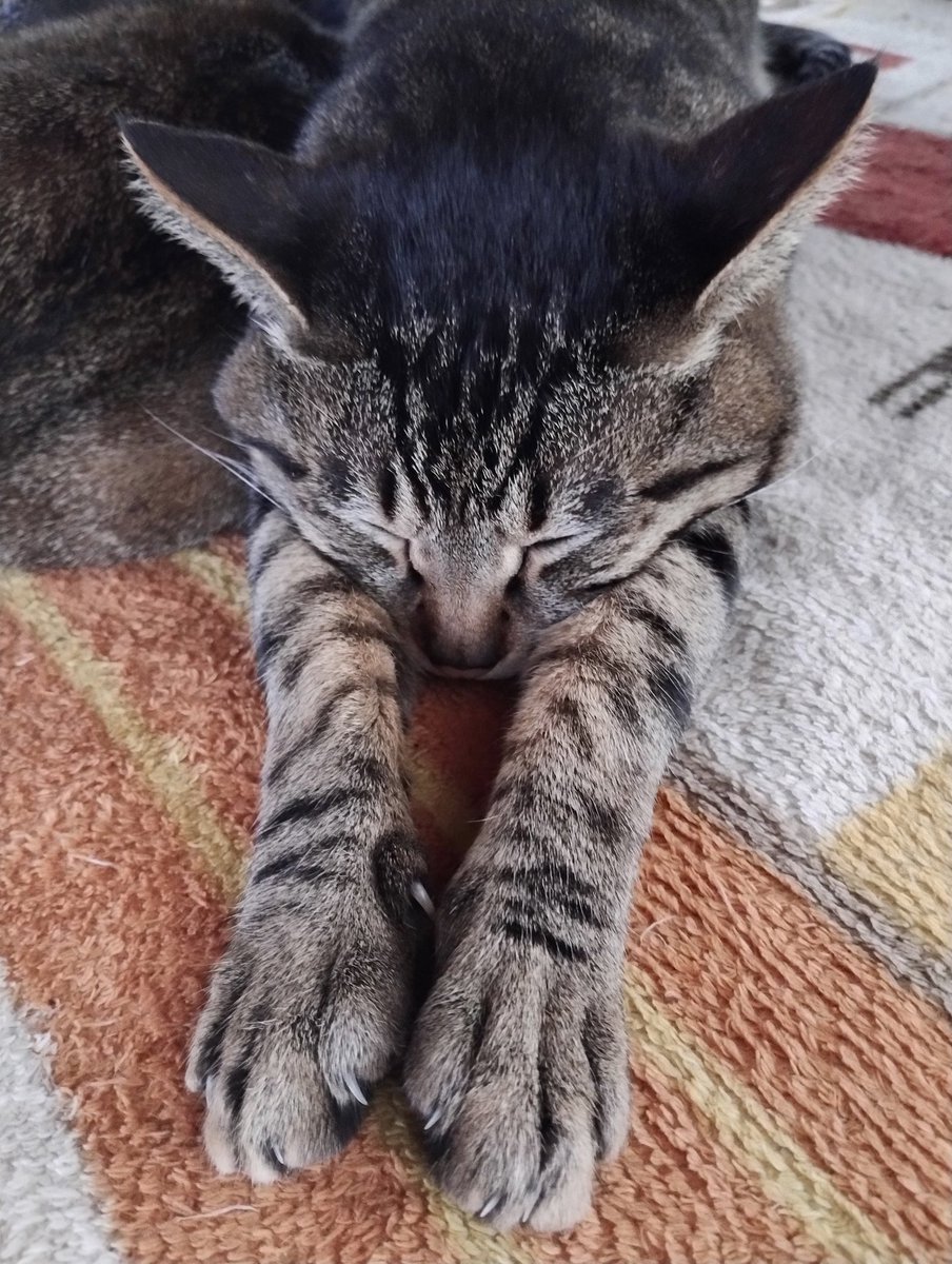 SHI-Happiness tweet media