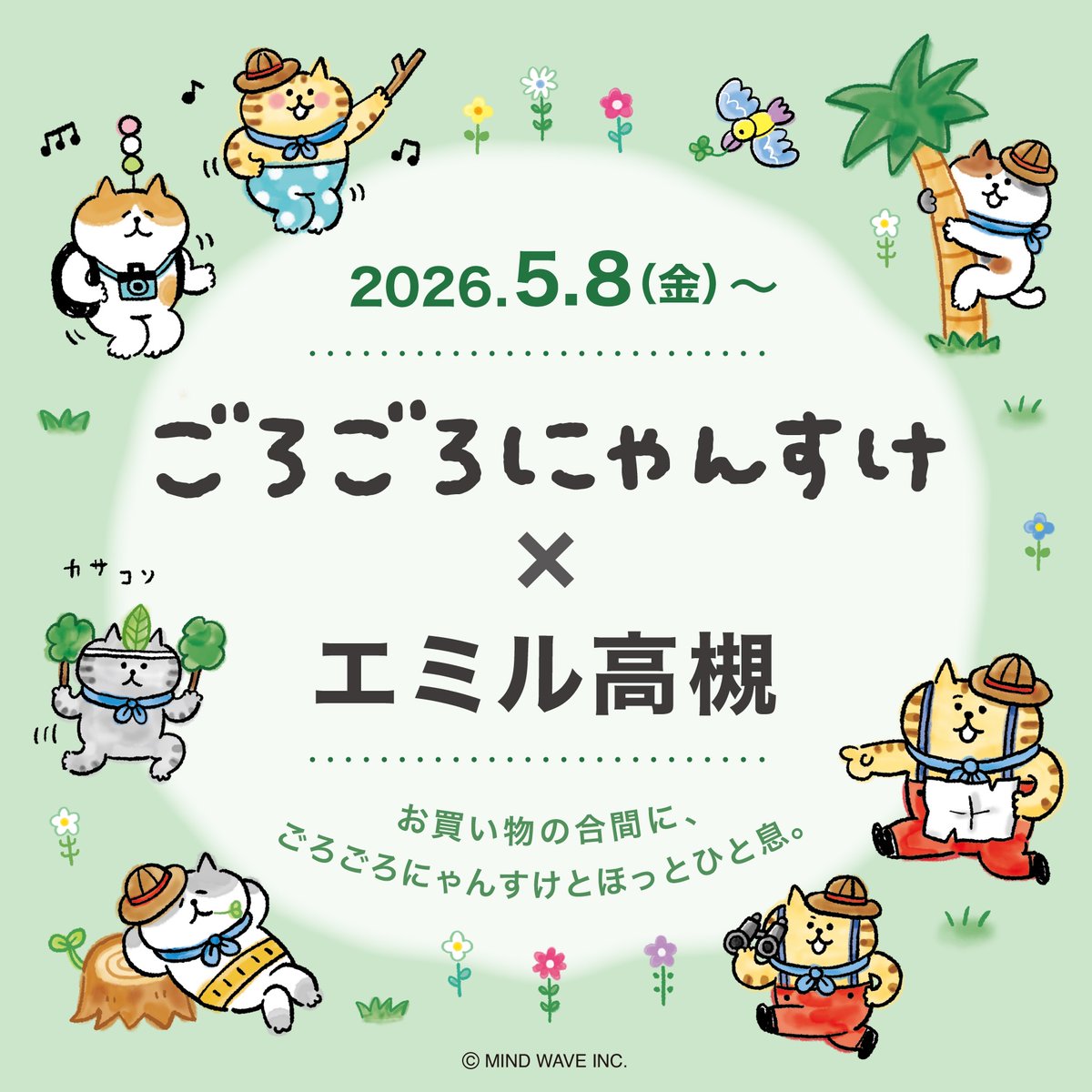 ■INFO■
🌳🚆ごろごろにゃんすけ×エミル高槻🚆🌳

阪急高槻市駅直結のショッピングセンター「エミル高槻」と
「ごろごろんにゃんすけ」がコラボレーション(=･ㅅ･)(=| ´ㅅ` |=)✨
5/8(金)から、さまざまなところに“にゃんすけ”が登場します🎪🛍