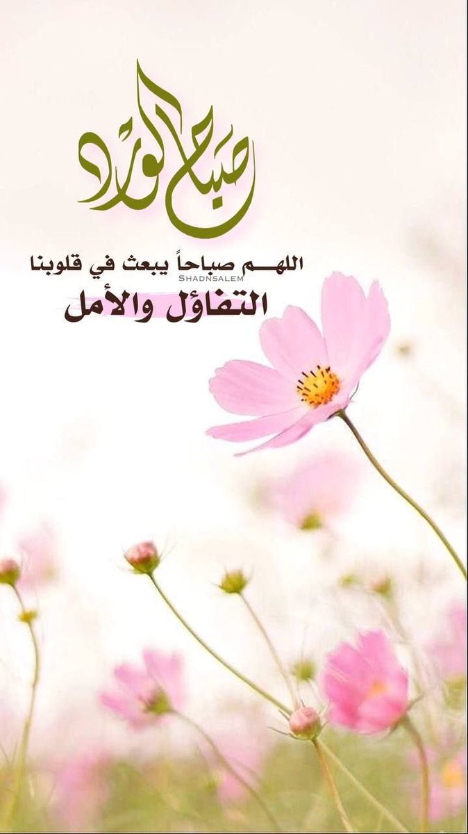 🌹 عايشة بعز أبووووها 🌹 tweet media