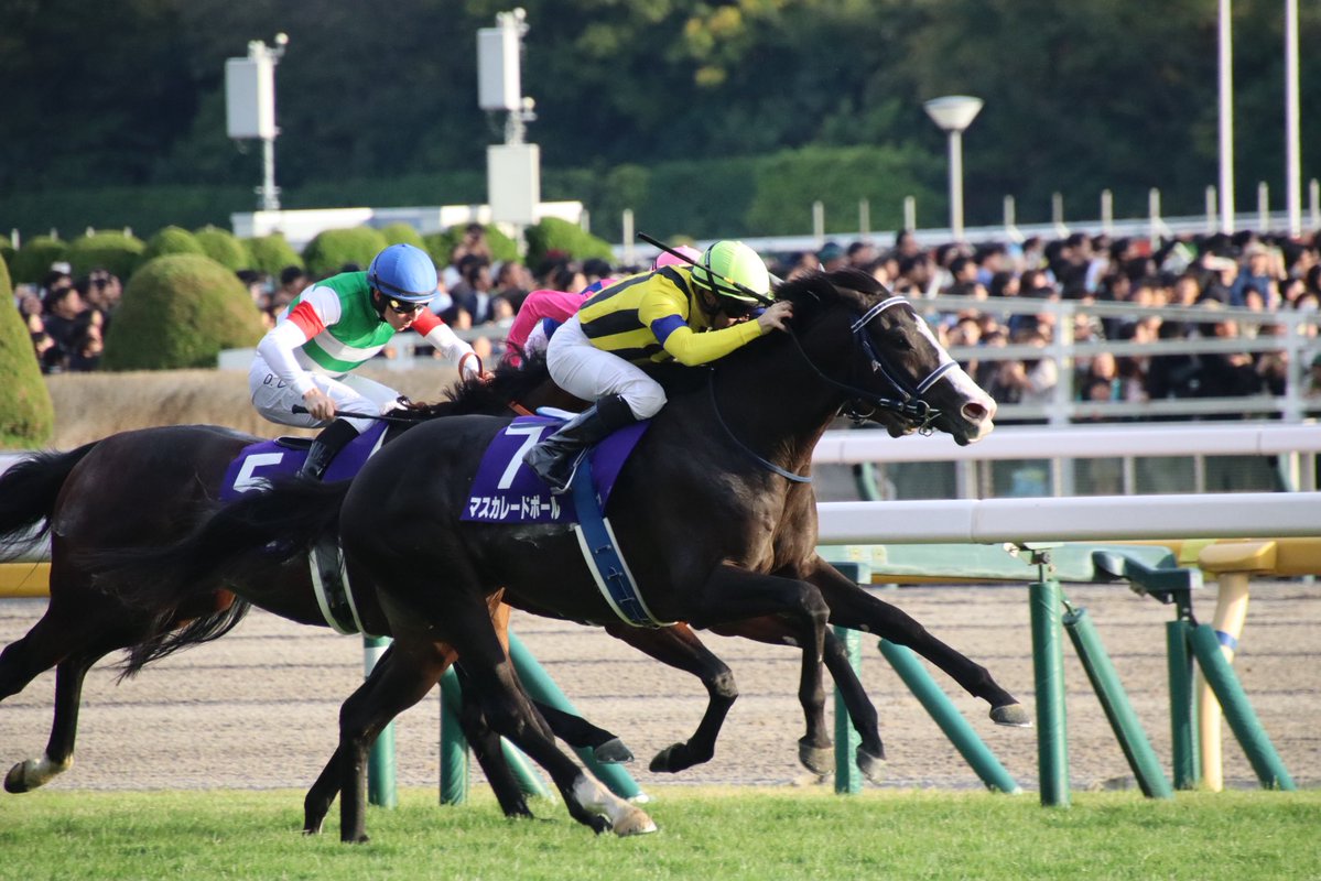 Ogoma🇩🇪フラッシュ専属🐞 tweet media