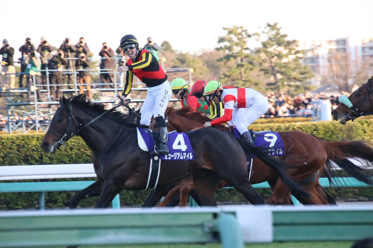 Ogoma🇩🇪フラッシュ専属🐞 tweet media