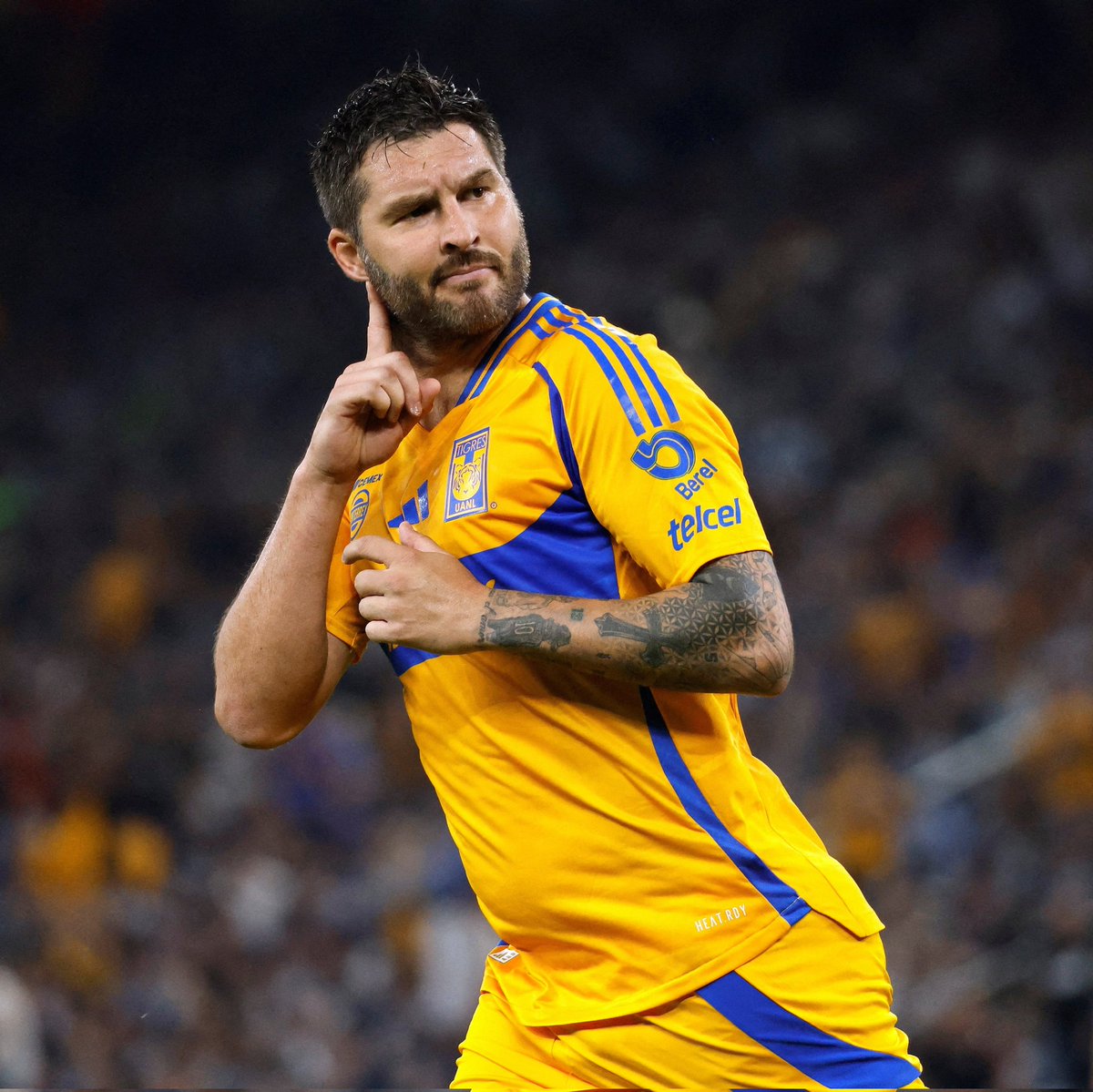 L1 Insider 🇨🇵🇧🇷 tweet media