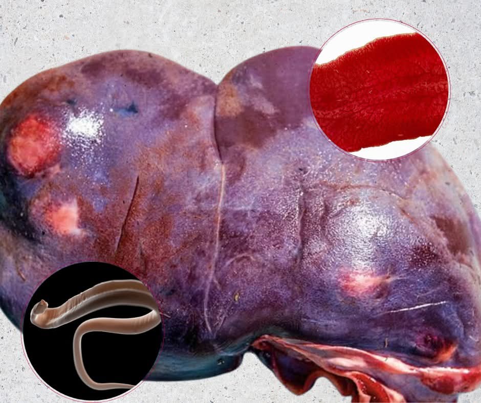 Barbara Oneill tweet media