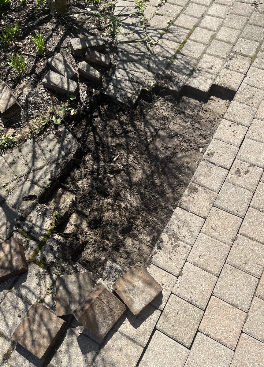 IHameedQ's tweet image. My first-ever #handyman project: redo my front patio. 

Alhamdulillah, it ended perfectly. #Ididit ✊😎