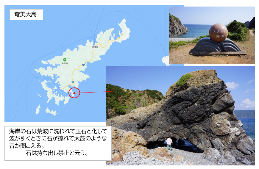 iwanapapa's tweet photo. 奄美大島のホノホシ海岸は、太平洋に面して荒波が打ち寄せる処で、海辺の石同士がこ擦れ合い丸くなっている。本土で云うならば、河川敷河原の石と同じ成形で珍しいと言えるが、石が大きい。磯釣りの名所。 https://t.co/G2yXOE4LM2