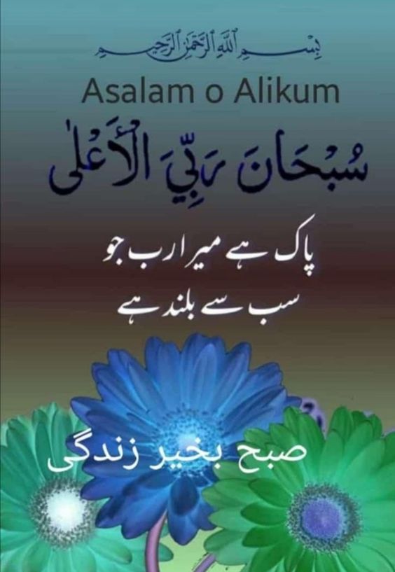 کنیز سمرا🇵🇰 tweet media