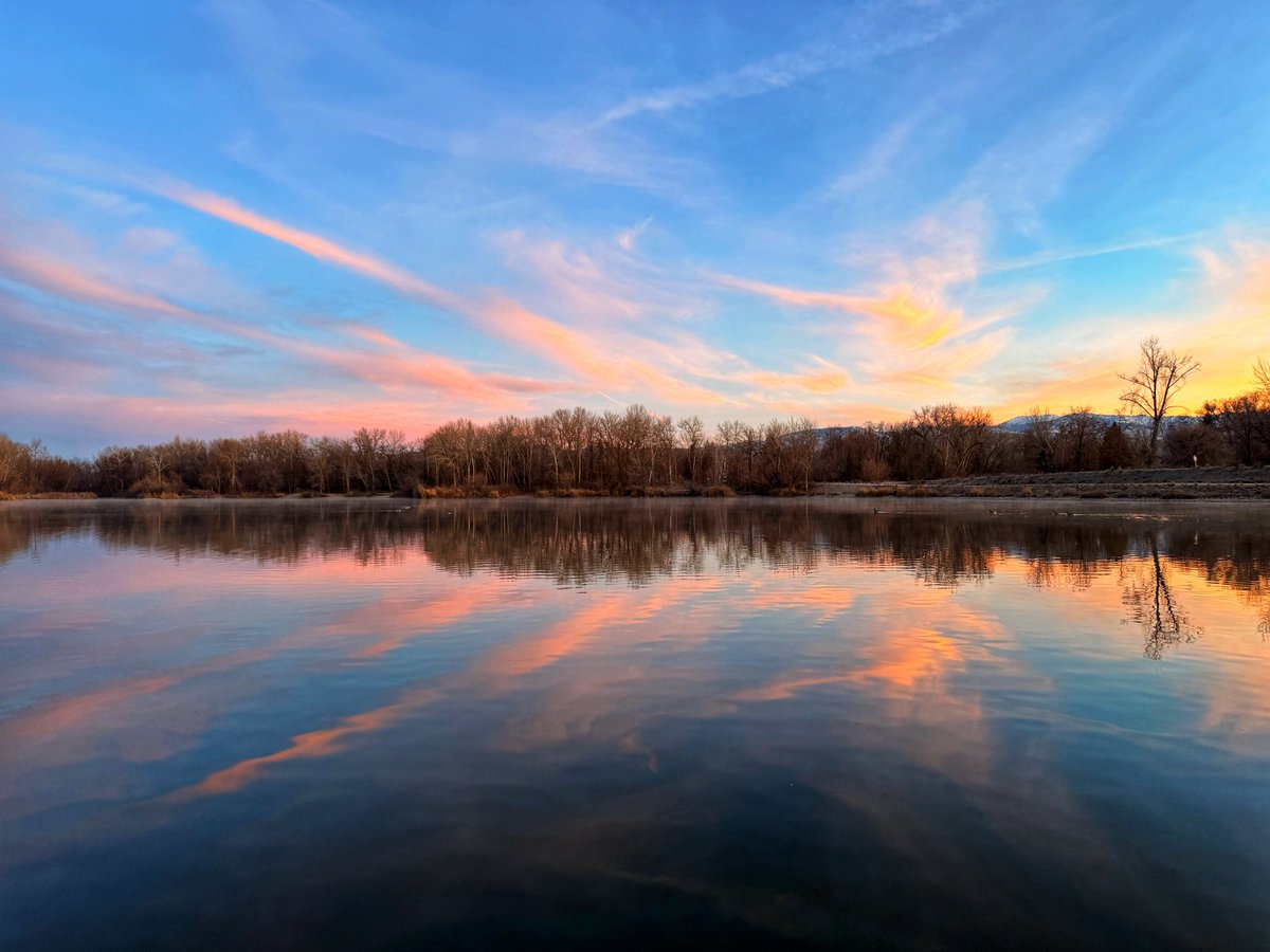 8ntmuch's tweet image. Photo challenge, show a photo displaying soft hues!

Read more about soft hues below! ⤵️