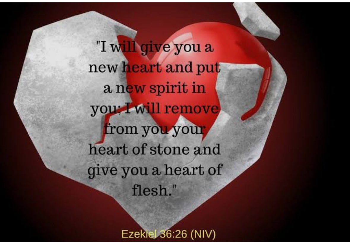truthtomeCh's tweet image. Our God is all powerful. He can change a heart of stone into a heart of flesh.

#Healing