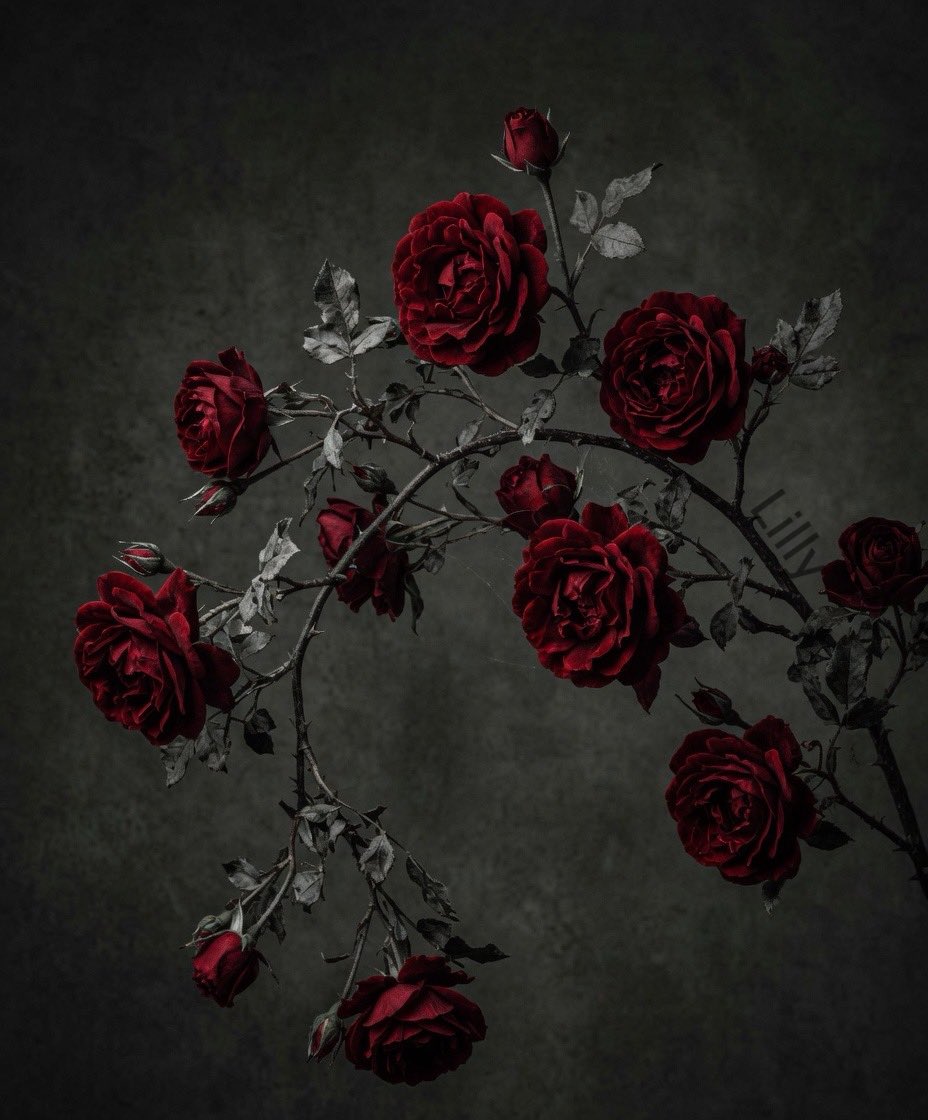 Tenebris Lilly tweet media