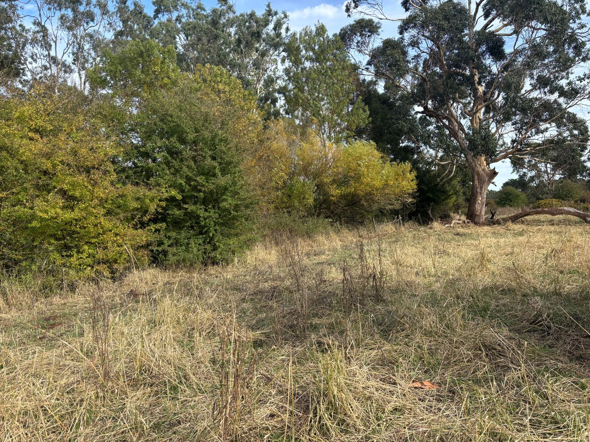 Glenelg Hopkins CMA tweet media